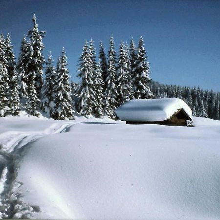 Ferienhaus Beim Veitele Apartman Mittenwald Kültér fotó